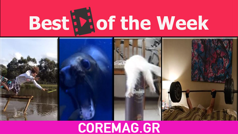 Τα καλύτερα βιντεάκια της 51ης εβδομάδας